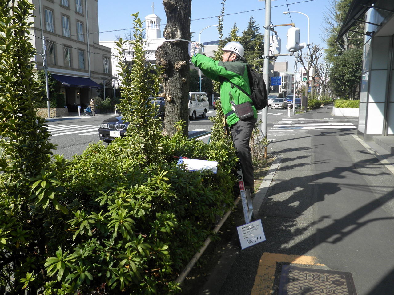 山手通り.JPG