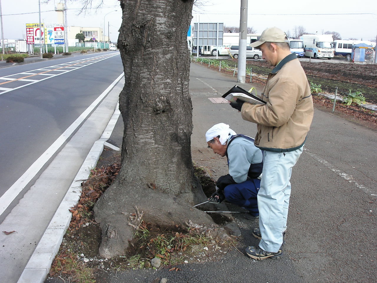 海軍道路.JPG